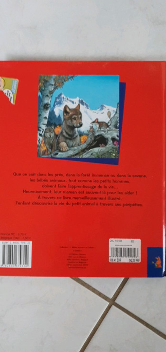 Livre Bébés animaux en balade lya2 - photo numéro 3