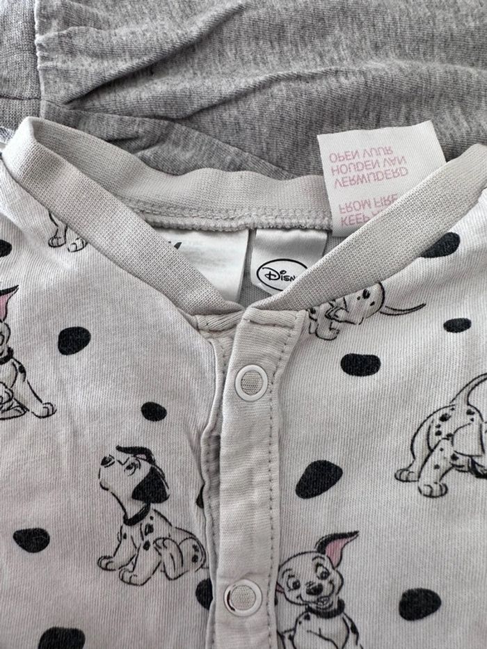 Pyj dalmat 6/9 - photo numéro 4