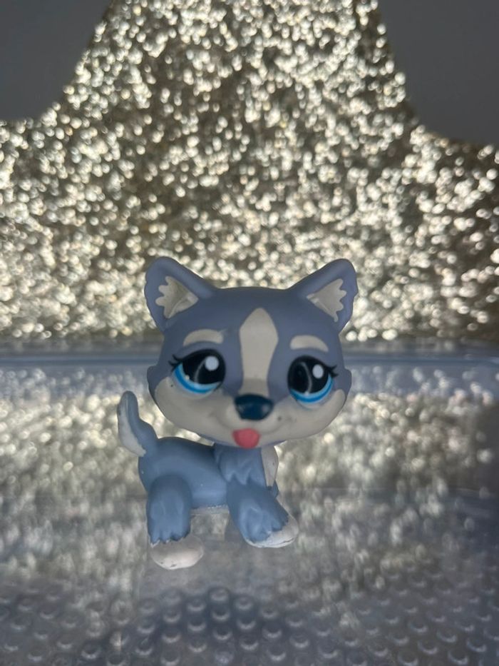 Littlest pet shop #1684 chien très bon état
