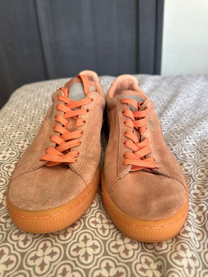 Puma rose - photo numéro 2
