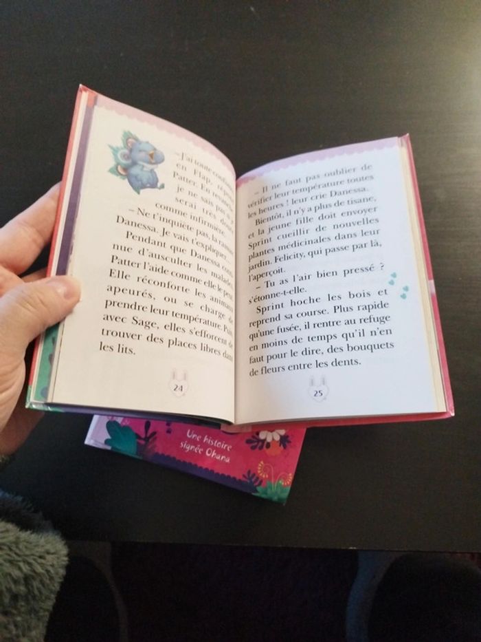 Lot 4 livres Enchantimals - photo numéro 12