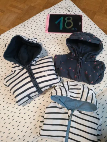 3 Gilets zippés avec capuche