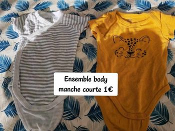 Lot 2 body manches courtes 6 mois