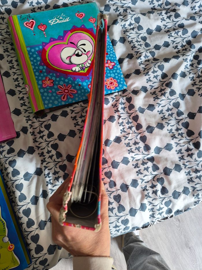 Classeur diddl - photo numéro 7