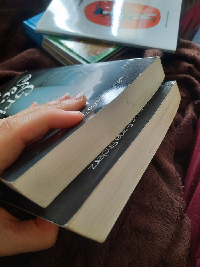 Tome 1 et 3 Laurie farine stolarz gris secret bleu cauchemar - photo numéro 5