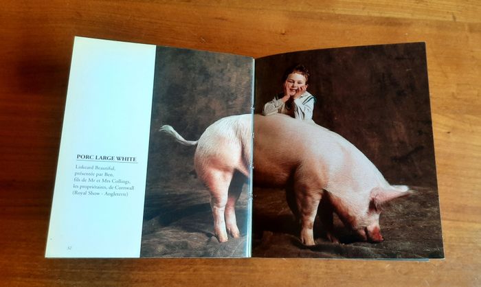Livre Des bêtes et des hommes Yann Arthus-Bertrand - photo numéro 5