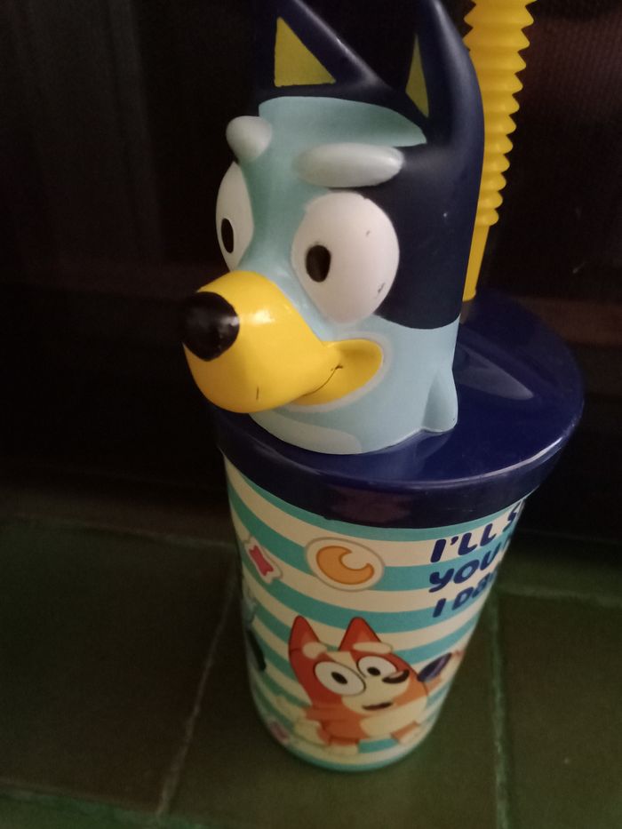 Gourde bluey - photo numéro 2