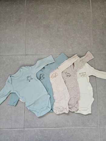 Lot bodys ML 3M