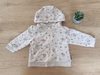 Veste