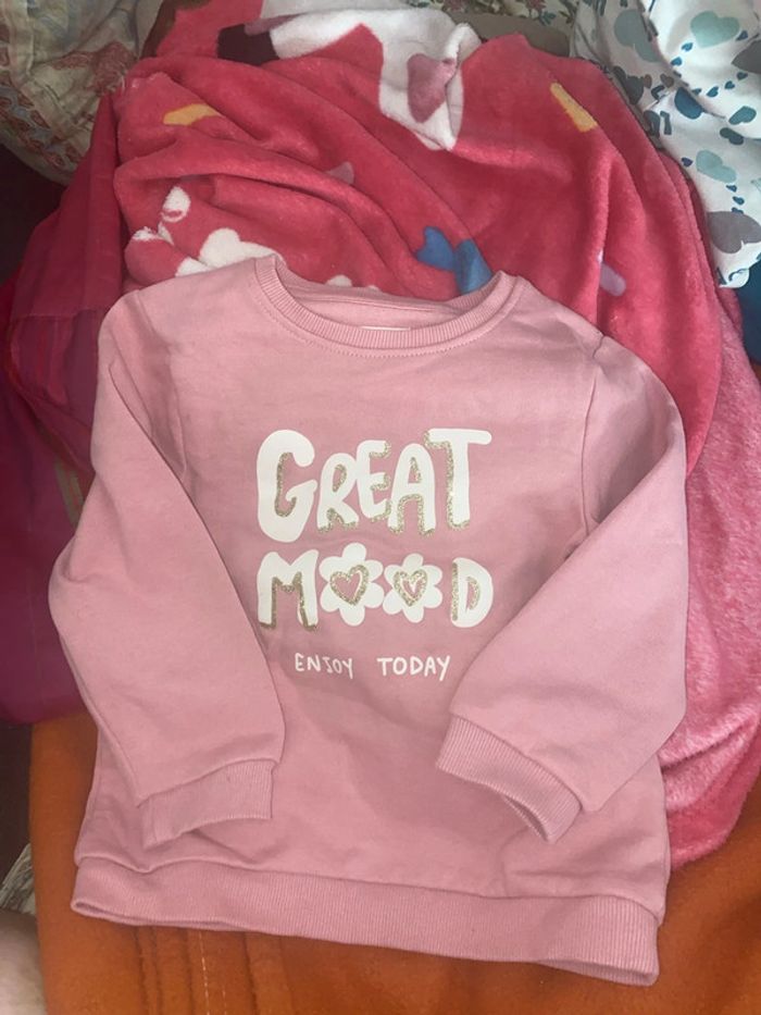 Pull molletonné