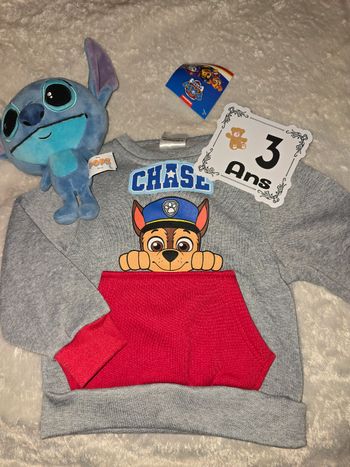 Pull pat patrouille 3ans