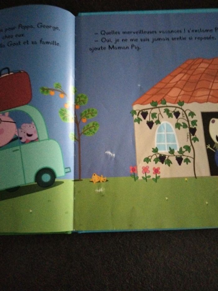 Lot 3 livres Peppa Pig - photo numéro 11
