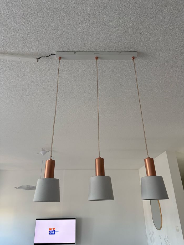 Suspension luminaire