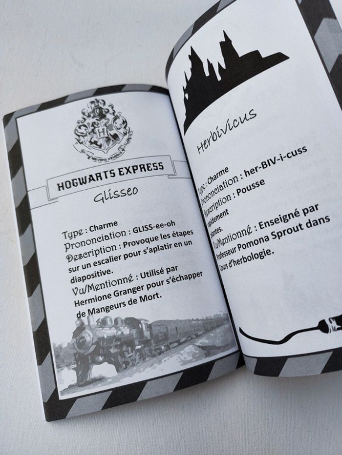 Harry Potter livre des sorts. - photo numéro 4