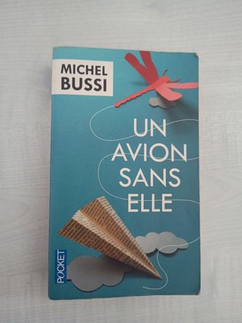 Michel bussi un avion sans elle