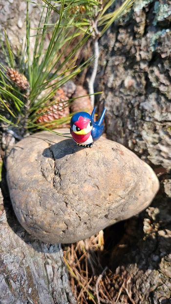 Super figurine Pokemon Nintendo nirondelle