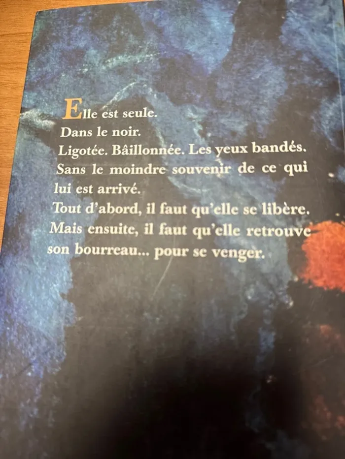 Nicci French au pays des vivants - photo numéro 4