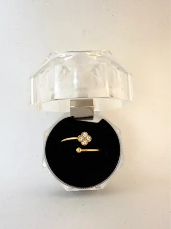 Bague