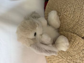 peluche Living Nature Lapin