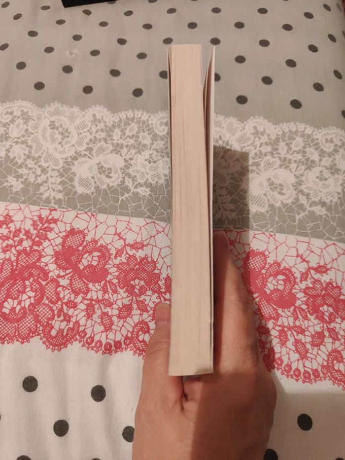 Meurtres au pays basque - photo numéro 4