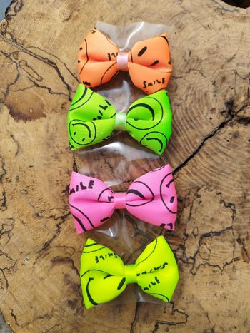 Lot de 4 barrettes fluos