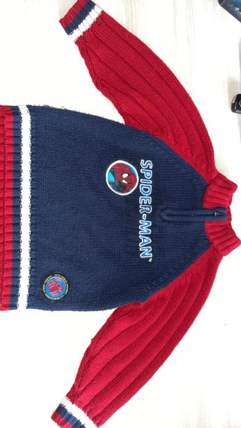 Pull spiderman hiver