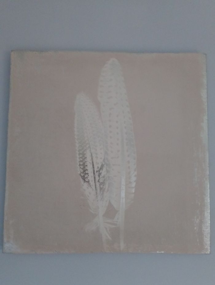 Toile motif plumes