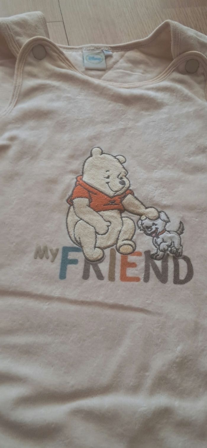 Gigoteuse winnie l'ourson - photo numéro 3