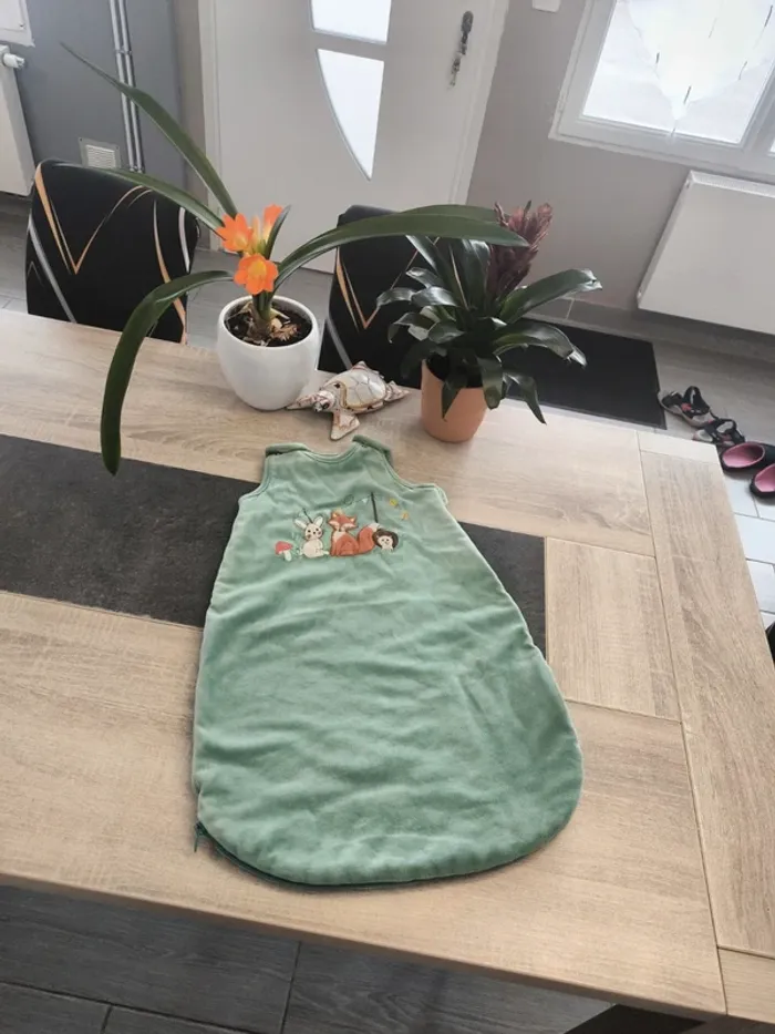 Gigoteuse épaisse mixte 0/6 mois Tex tog 3