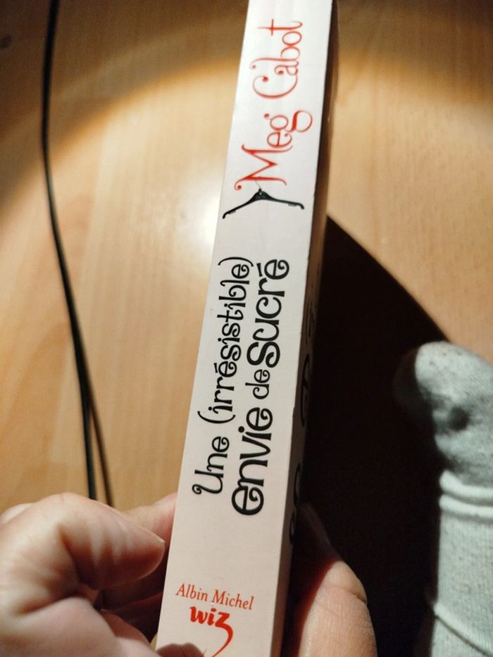 Une irrésistible envie de sucré roman - photo numéro 2