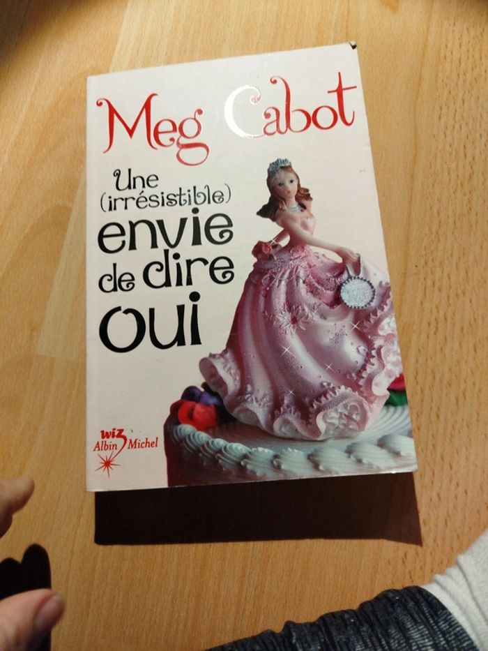 Une irrésistible envie de dire oui roman - photo numéro 3