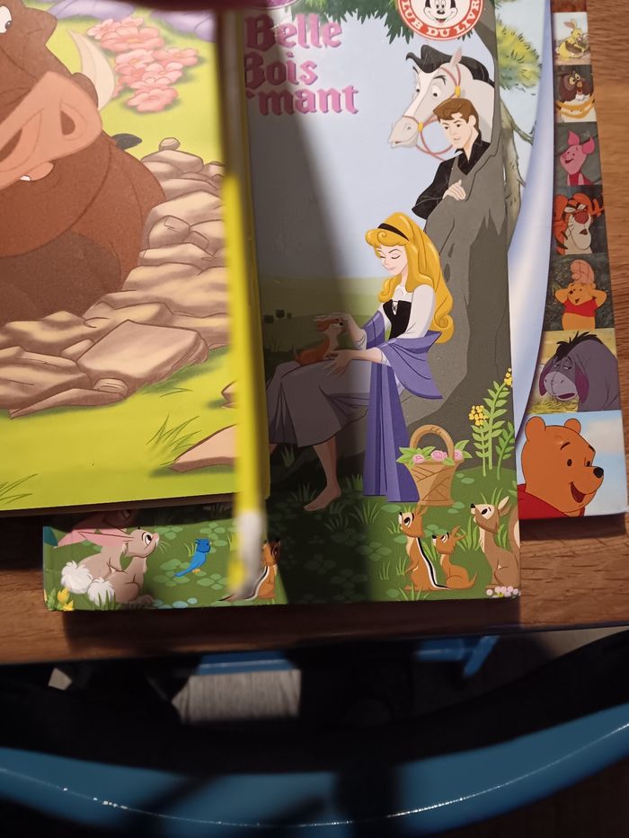 Livres Disney - photo numéro 3
