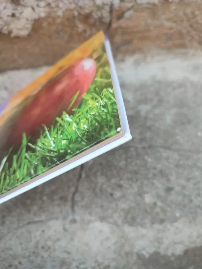 Livre et tout commence avec la pomme - photo numéro 3