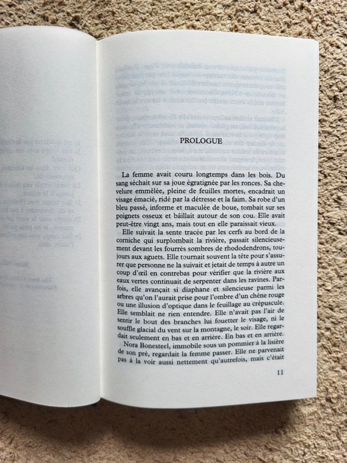 Livre Le Fantôme des collines de Sharyn McCrumb - Mystère et légendes des Appalaches - photo numéro 5