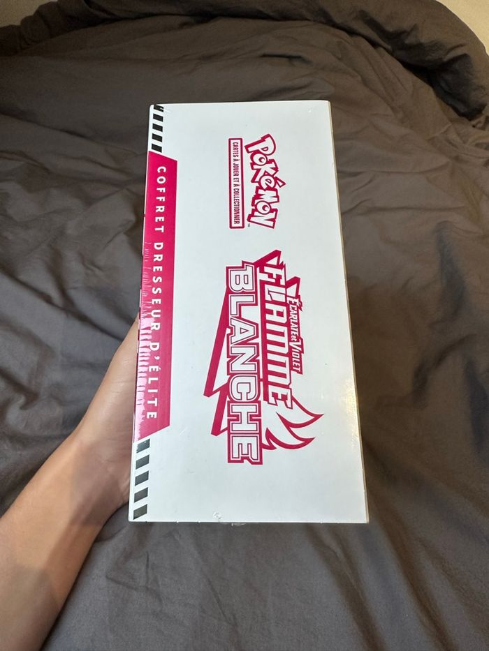 Etb Flammes blanches - photo numéro 4