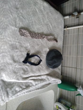 Ensemble cravate béret et noeud papillon
