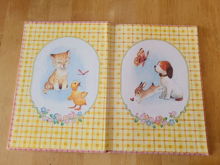 Bonjour ! Petit chat - photo numéro 3