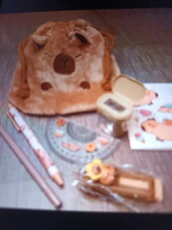 Ballotin Capybara et ses accessoires