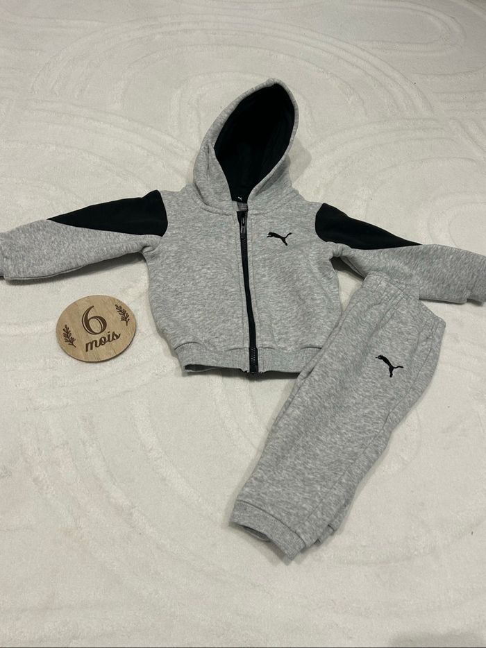 Ensemble Puma