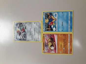 Scalproie + Hippopotas + Carvanha lot de 3 cartes Pokémon neuves