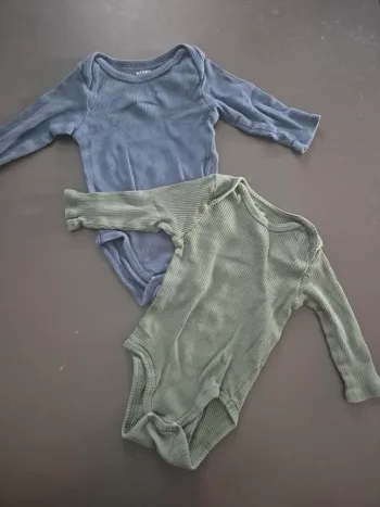 Bodies