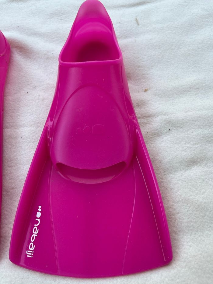 Palme 33 à 34 nabaiji - photo numéro 2