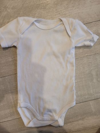 Body manches courtes