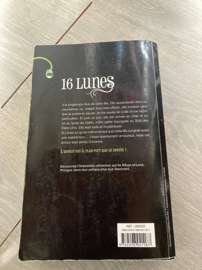 16 lunes - photo numéro 3