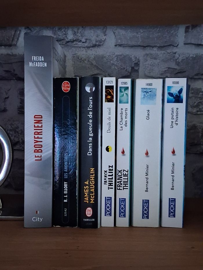 Lot de 7 Thrillers dont Le Boyfriend de Freida McFadden - photo numéro 3