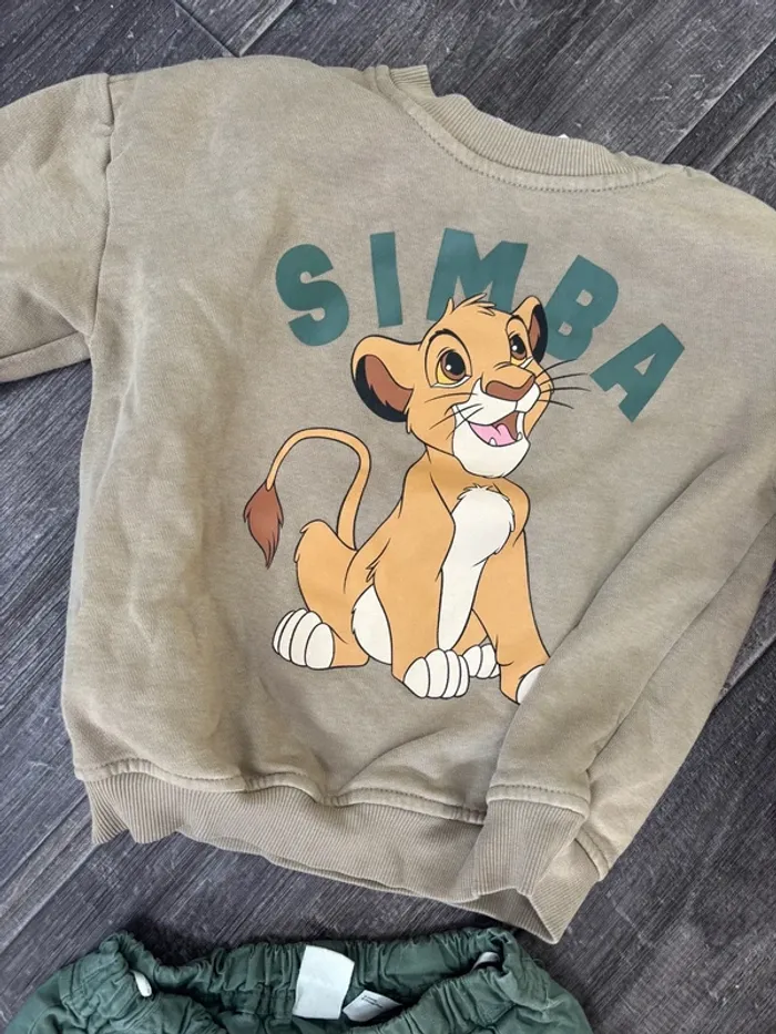 Ensemble le roi lion Simba - photo numéro 2
