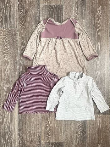 2 sous-pull et 1 robe 24 mois
