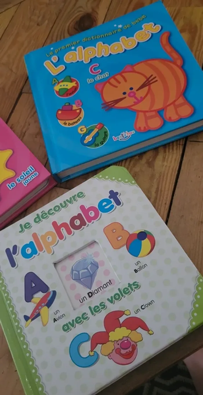 Le premier dictionnaire de bébé - photo numéro 3