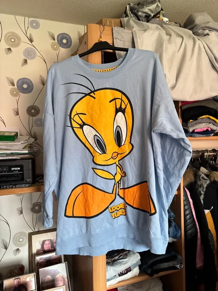 magnifique robe pull titi