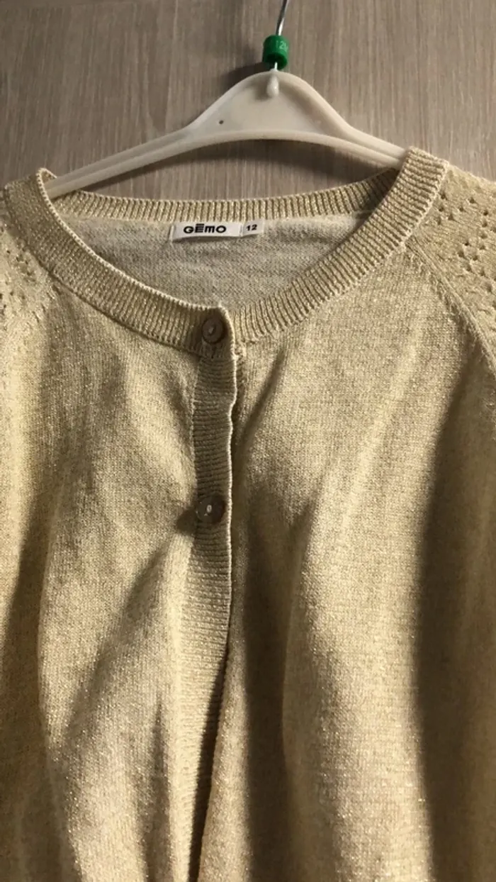 Gilet - photo numéro 2